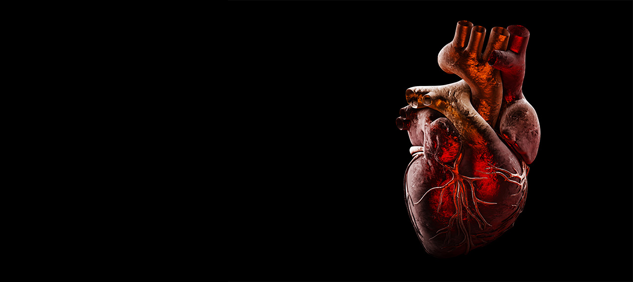 Fisio, Pato e Farmacologia do  Sistema Cardiovascular